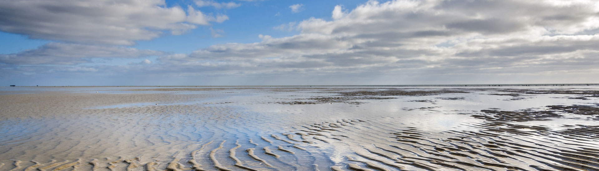 We accompany the entire sourcing cycle